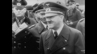 Link to Video | personality