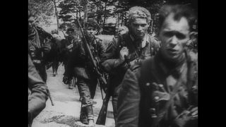 Link to Video | black and white