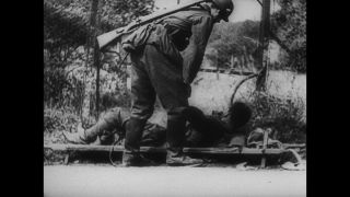 Link to Video | black and white