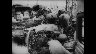 Link to Video | black and white