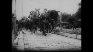 Link to Video | black and white