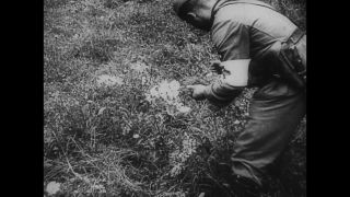 Link to Video | black and white