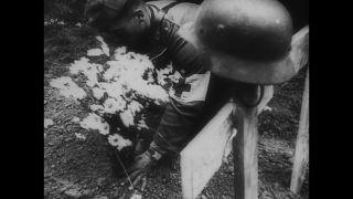 Link to Video | black and white