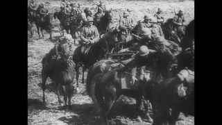 Link to Video | black and white