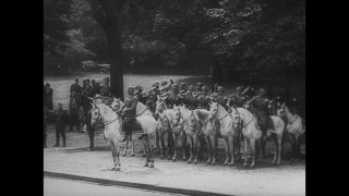 Link to Video | black and white