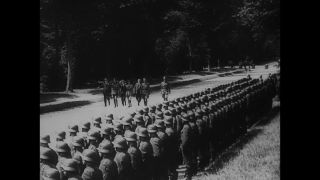 Link to Video | personality