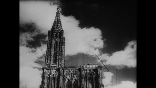 Link to Video | personality