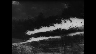 Link to Video | personality