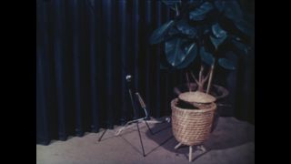 Link to Video | novelty, Germany, economic growth, home appliance, color, 1952, trade fair, household equipment, Berlin, housekeeping, family
