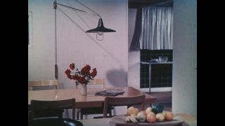 Link to Video | novelty, Germany, economic growth, home appliance, color, 1952, trade fair, household equipment, Berlin, housekeeping, family