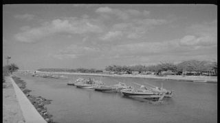 Link to Video | Pearl Harbor, naval base, historical event, Pacific War, harbor, warship, World War II, 1941 in the United States, navy, military personnel, aerial warfare, Attack on Pearl Harbor