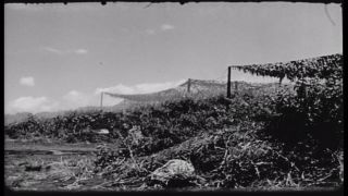 Link to Video | Pearl Harbor, naval base, historical event, Pacific War, harbor, warship, World War II, 1941 in the United States, navy, military personnel, aerial warfare, Attack on Pearl Harbor