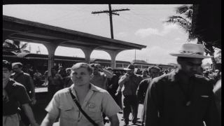 Link to Video | Pearl Harbor, naval base, historical event, Pacific War, harbor, warship, World War II, 1941 in the United States, navy, military personnel, aerial warfare, Attack on Pearl Harbor