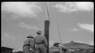 Link to Video | Pearl Harbor, naval base, historical event, Pacific War, harbor, warship, World War II, 1941 in the United States, navy, military personnel, aerial warfare, Attack on Pearl Harbor