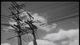 Link to Video | Pearl Harbor, naval base, historical event, Pacific War, harbor, warship, World War II, 1941 in the United States, navy, military personnel, aerial warfare, Attack on Pearl Harbor