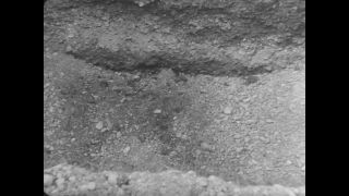 Link to Video | antisemitism, Third Reich