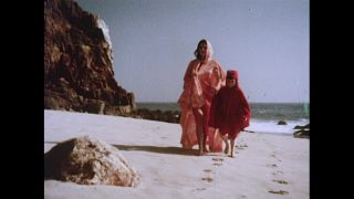 Link to Video