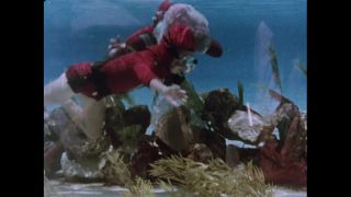 Link to Video