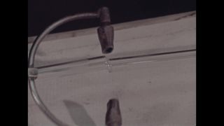 Link to Video