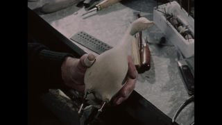 Link to Video
