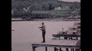 Link to Video