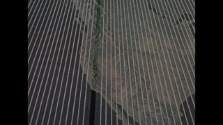 Link to Video