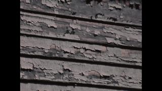 Link to Video