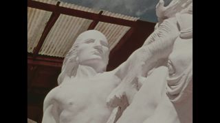 Link to Video