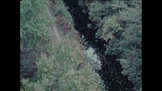 Link to Video