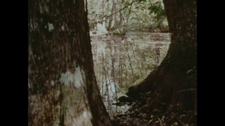 Link to Video