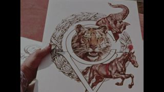 Link to Video