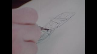 Link to Video