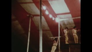 Link to Video