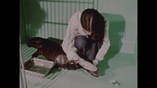 Link to Video