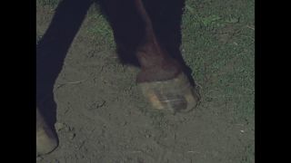 Link to Video