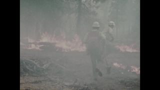 Link to Video