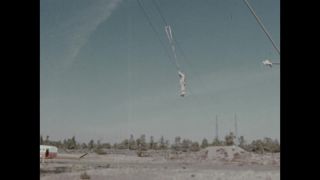 Link to Video