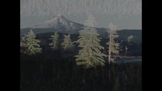Link to Video