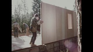 Link to Video