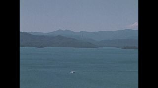 Link to Video