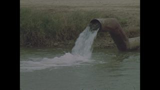 Link to Video