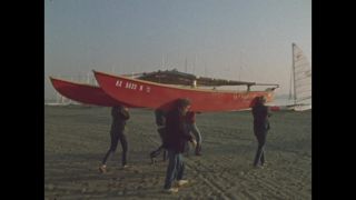 Link to Video