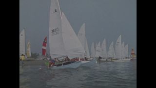 Link to Video