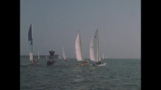 Link to Video