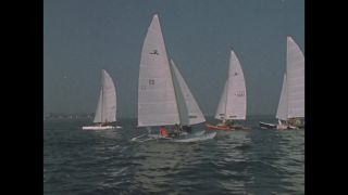 Link to Video
