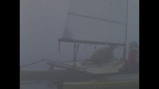 Link to Video