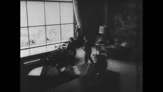 Link to Video | personality