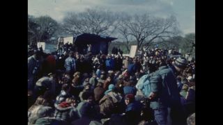 Link to Video