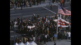 Link to Video