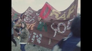 Link to Video